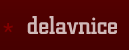 * delavnice